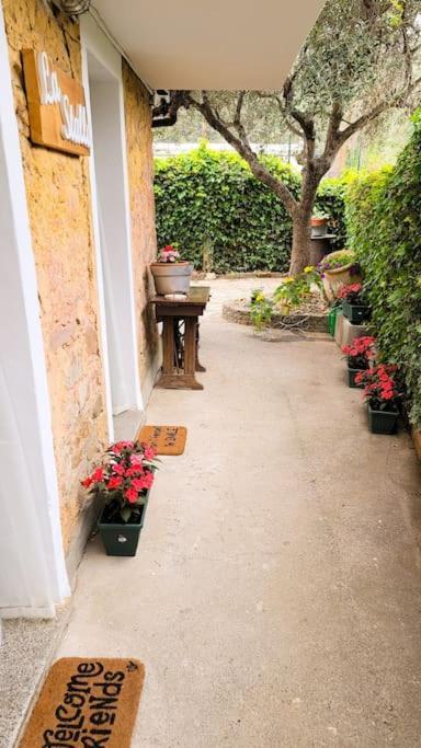 La Stalla, Casa Rustica Nel Ranch Di Cavalli Camporosso  Exterior foto
